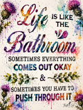 Life Is Like a Bathroom – Push Through It