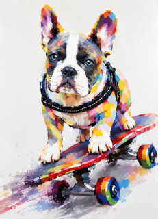 Skater Pup – Colourful Dog Art Print